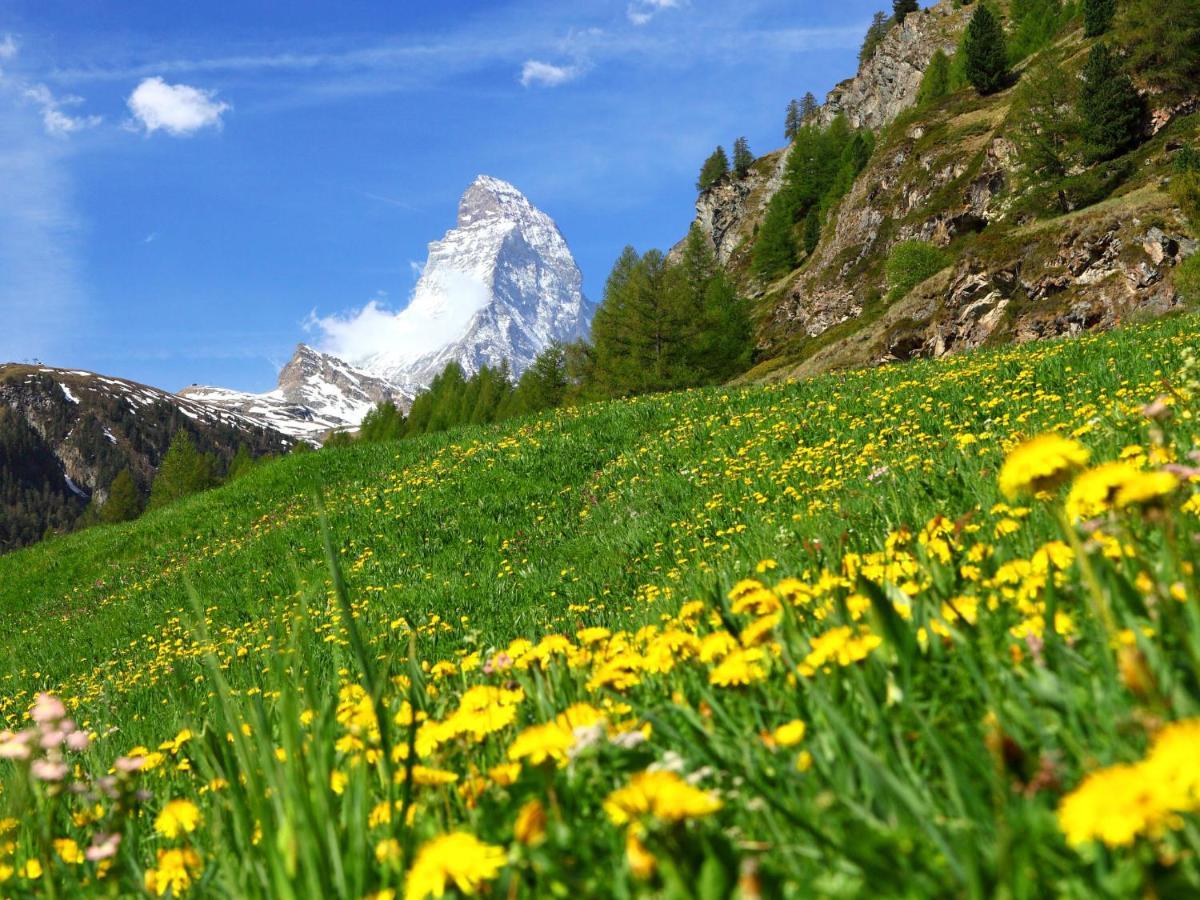 Apartment Dianthus-1 By Interhome Zermatt Exteriér fotografie