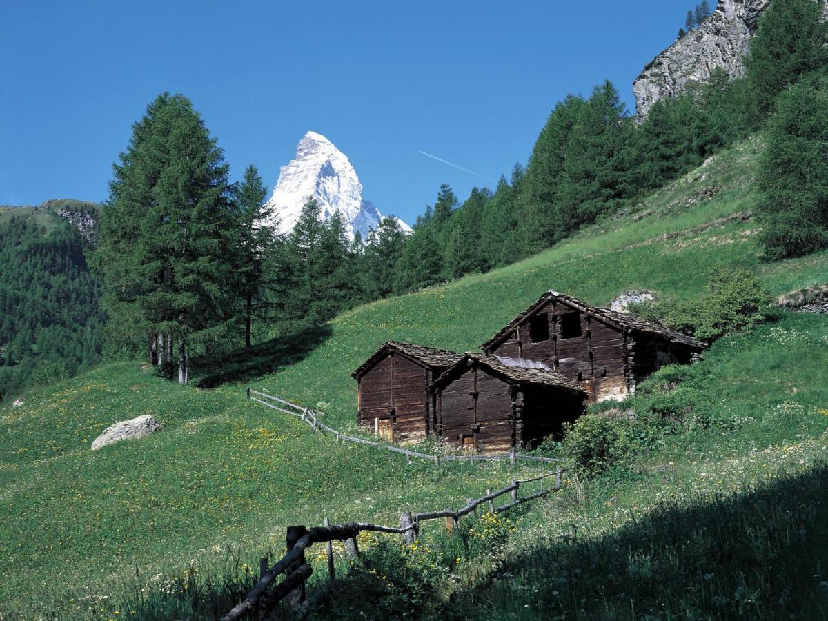 Apartment Dianthus-1 By Interhome Zermatt Exteriér fotografie